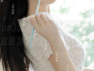 谁能告诉我，455fun的导航到底是为了啥？迷路更好玩吗？