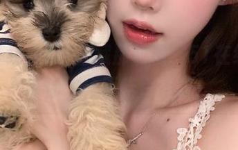 收藏那些瓜，51在线吃瓜带你飞，不吃白不吃！