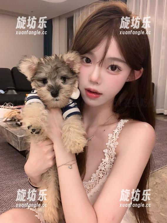 收藏那些瓜，51在线吃瓜带你飞，不吃白不吃！-旋坊乐