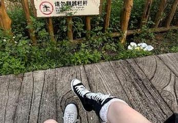 九一黑料直达，兑换码模式教你如何用秘密换真相！