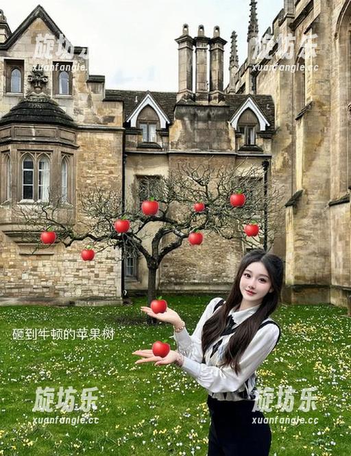 51黑料不打烊：导航不迷路，瓜无处不在！-旋坊乐